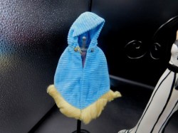 1764 FRANCIE 1970 - 1971 BLUE CORDUROY HOODED CAPE WITH YELLOW FUR TRIM